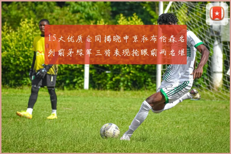 15大优质合同揭晓申京和布伦森名列前茅绿军三将表现抢眼前两名堪称传奇