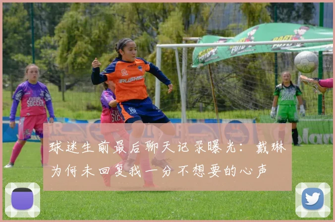 球迷生前最后聊天记录曝光：戴琳为何未回复我一分不想要的心声
